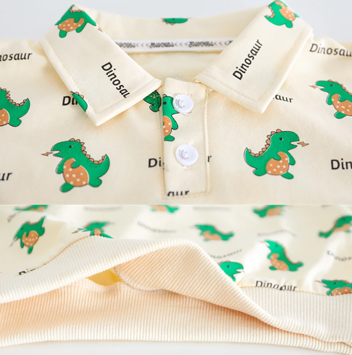 Little Dinosaur Boys Tshirt and Jeans Set